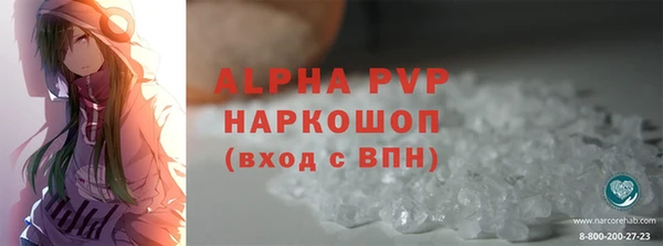 дживик Белокуриха