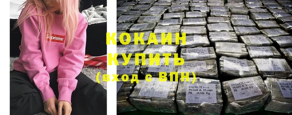 дживик Белокуриха