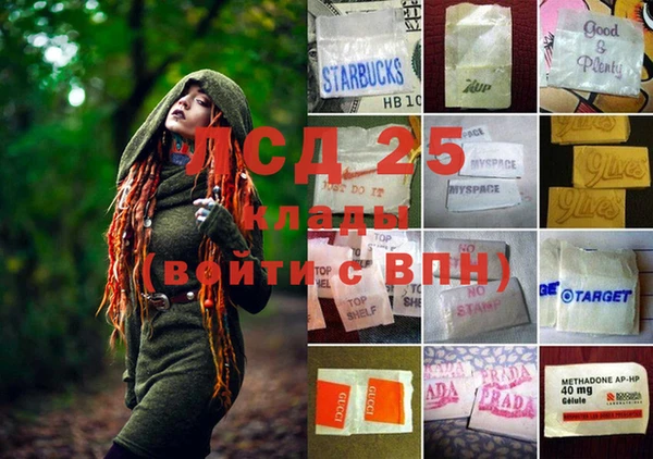 дживик Белокуриха