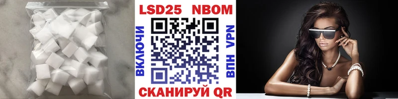 как найти закладки  Шлиссельбург  Лсд 25 экстази кислота 