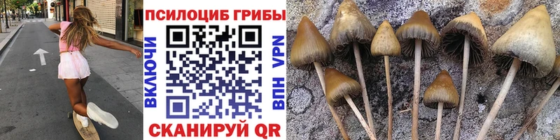 Псилоцибиновые грибы GOLDEN TEACHER Шлиссельбург